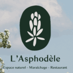 L'Asphodèle